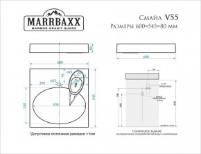 Умывальник над стиральной машиной (600*545*80) Смайл V55D1 (белый) с кронштейном без сифона (V55D1) в Нижнем Тагиле - nizhniy-tagil.mebel24.online | фото 2