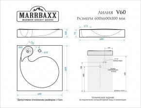 Умывальник над стиральной машиной (600*600х100) Лилия V60 (белый) с кронштейном без сифона (V60) в Нижнем Тагиле - nizhniy-tagil.mebel24.online | фото 2
