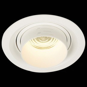 Встраиваемый светильник ST-Luce Zoom ST701.538.12 в Нижнем Тагиле - nizhniy-tagil.mebel24.online | фото 4