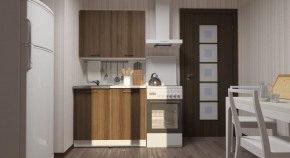 ЯНА Кухонный гарнитур Мини (1000 мм) в Нижнем Тагиле - nizhniy-tagil.mebel24.online | фото