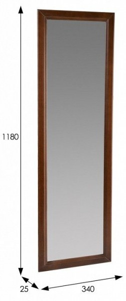 Зеркало настенное Селена в Нижнем Тагиле - nizhniy-tagil.mebel24.online | фото 2