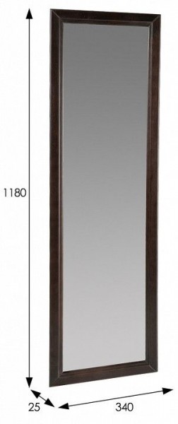 Зеркало настенное Селена в Нижнем Тагиле - nizhniy-tagil.mebel24.online | фото 2